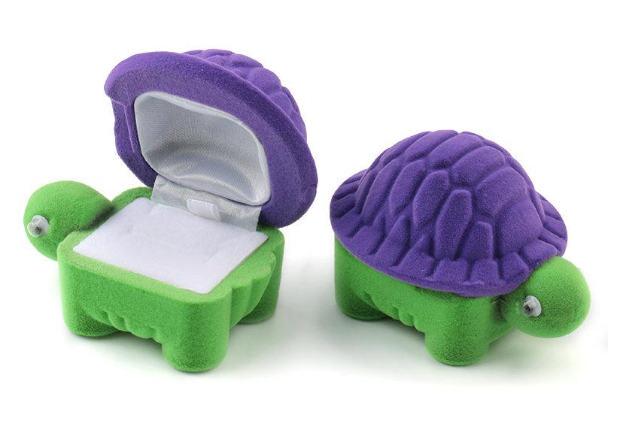 Turtle Packaging Box