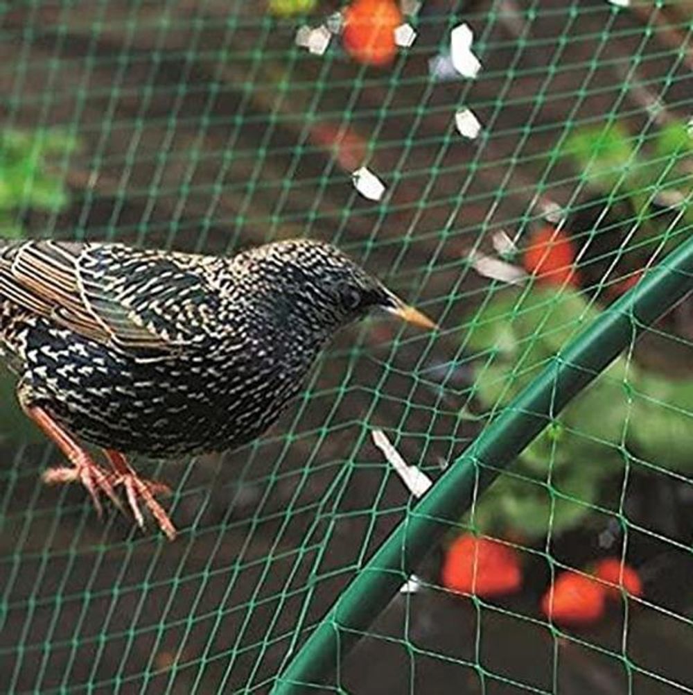 GARDEN NETTING ANTI BIRD VEG FRUIT PLANT POND NET PROTECTION WATER. VARIATION[Birds,1 X PCS,2 X 10 M]