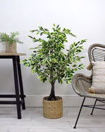 Artificial Variegated Ficus Tree Plastic Split Trunk 4ft / 120cm